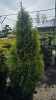IMG_20260413_105319